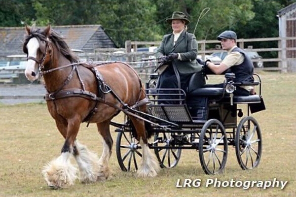 Open Show July&nbsp;2018