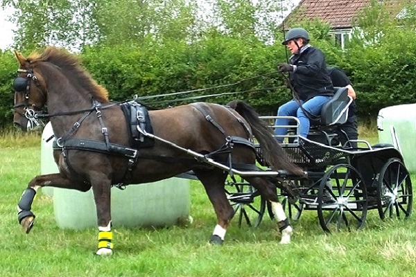 Lisa Joyce ODE&nbsp;2018