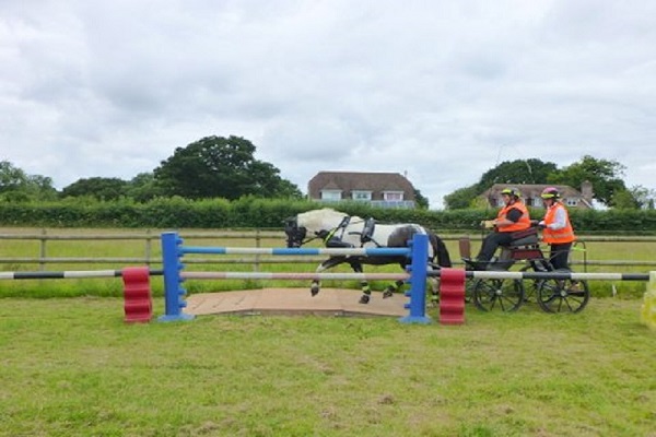 Sparsholt Trec Report