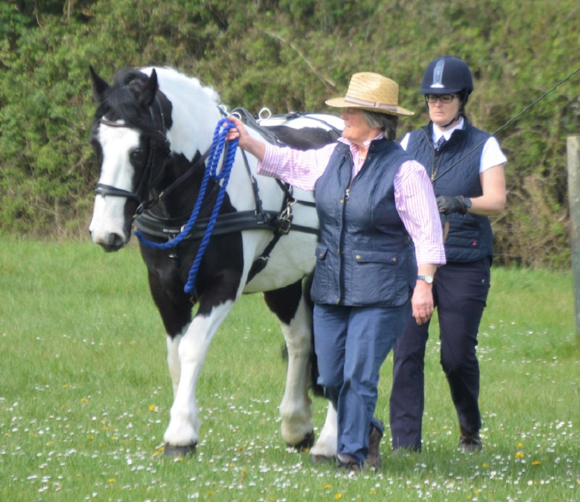 Driving Skills Show&nbsp;Report