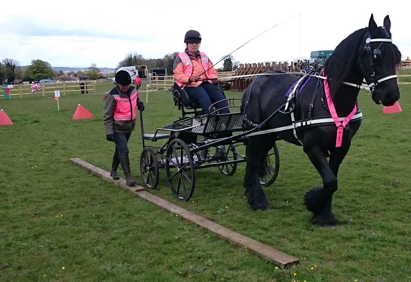 What is driven Trec all&nbsp;about?