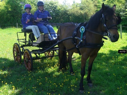 Introducing: Gillian Stoneman – our new Safeguarding&nbsp;Officer