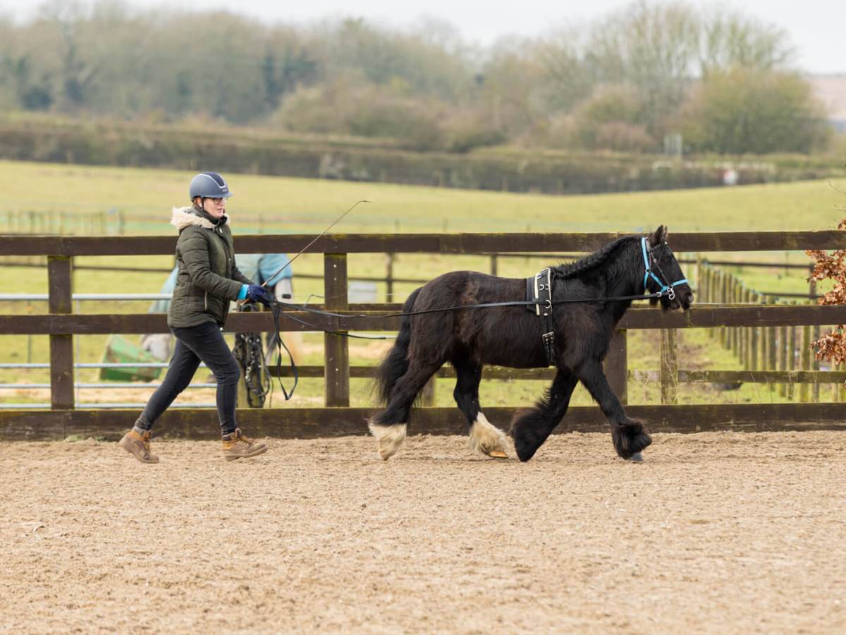 Race to the 2025&nbsp;Championship