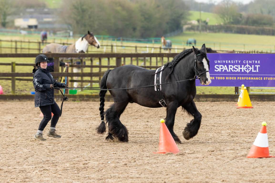 Long-reining at Wessex&nbsp;ICD