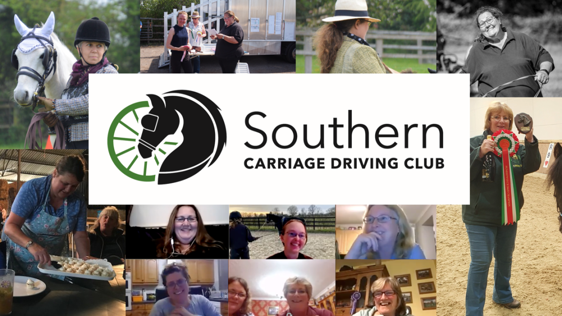 A New Chapter for the Southern Carriage Driving&nbsp;Club
